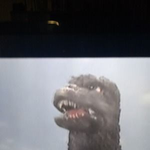 Meet your Posher, Willylee